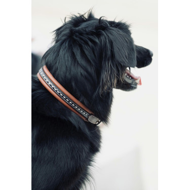 Collar para perro Pénélope Point Sellier Collar para perro Pénélope Point Sellier