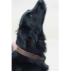 Collar para perro Pénélope Point Sellier Collar para perro Pénélope Point Sellier