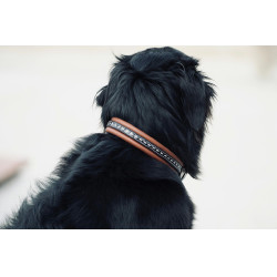 Collar para perro Pénélope Point Sellier Collar para perro Pénélope Point Sellier