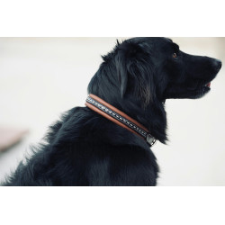 Collar para perro Pénélope Point Sellier Collar para perro Pénélope Point Sellier