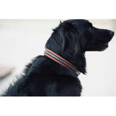Collar para perro Pénélope Point Sellier Collar para perro Pénélope Point Sellier