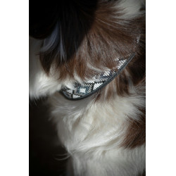 Collar para perro Pénélope Pearl Collar para perro Pénélope Pearl