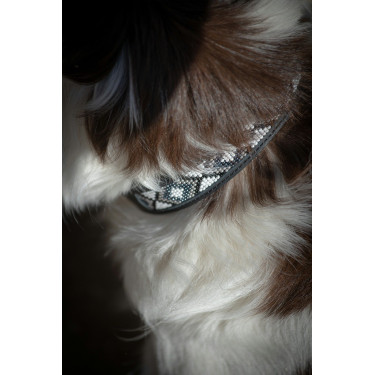 Collar para perro Pénélope Pearl Collar para perro Pénélope Pearl