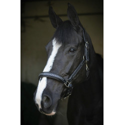 Cabezada de cuero Pénélope Point Sellier Negro Cabezada de cuero Pénélope Point Sellier Negro