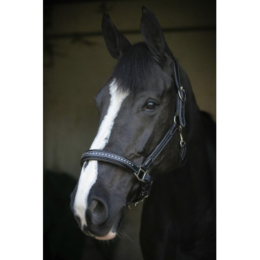 Cabezada de cuero Pénélope Point Sellier Negro Cabezada de cuero Pénélope Point Sellier Negro