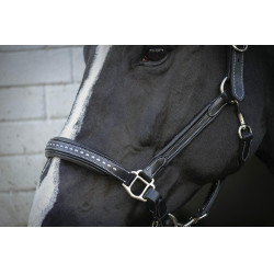 Cabezada de cuero Pénélope Point Sellier Negro Cabezada de cuero Pénélope Point Sellier Negro