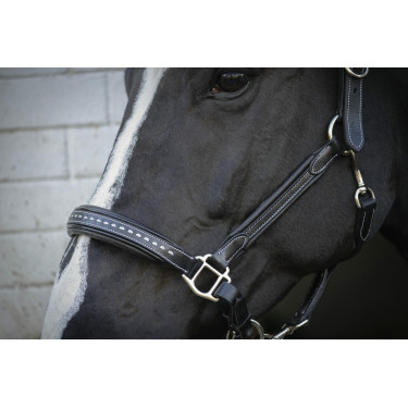 Cabezada de cuero Pénélope Point Sellier Negro Cabezada de cuero Pénélope Point Sellier Negro