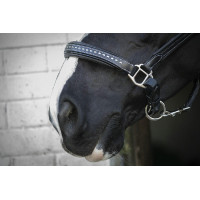 Cabezada de cuero Pénélope Point Sellier Negro Cabezada de cuero Pénélope Point Sellier Negro