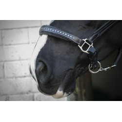 Cabezada de cuero Pénélope Point Sellier Negro Cabezada de cuero Pénélope Point Sellier Negro