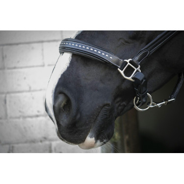 Cabezada de cuero Pénélope Point Sellier Negro Cabezada de cuero Pénélope Point Sellier Negro