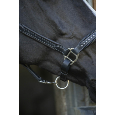 Cabezada de cuero Pénélope Point Sellier Negro Cabezada de cuero Pénélope Point Sellier Negro