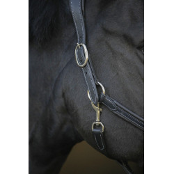 Cabezada de cuero Pénélope Point Sellier Negro Cabezada de cuero Pénélope Point Sellier Negro