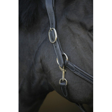 Cabezada de cuero Pénélope Point Sellier Negro Cabezada de cuero Pénélope Point Sellier Negro