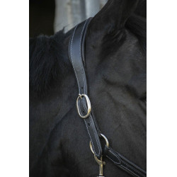 Cabezada de cuero Pénélope Point Sellier Negro Cabezada de cuero Pénélope Point Sellier Negro