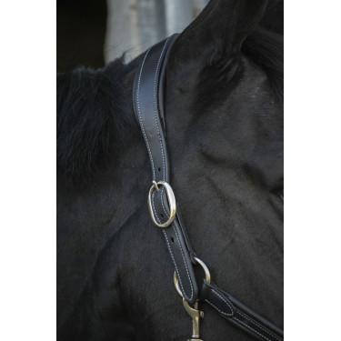 Cabezada de cuero Pénélope Point Sellier Negro Cabezada de cuero Pénélope Point Sellier Negro