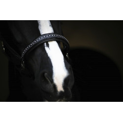 Cabezada de cuero Pénélope Point Sellier Negro Cabezada de cuero Pénélope Point Sellier Negro