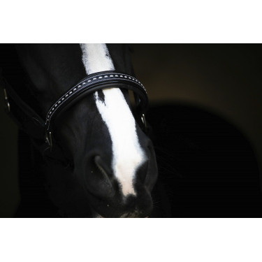 Cabezada de cuero Pénélope Point Sellier Negro Cabezada de cuero Pénélope Point Sellier Negro