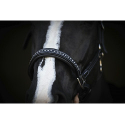 Cabezada de cuero Pénélope Point Sellier Negro Cabezada de cuero Pénélope Point Sellier Negro