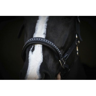 Cabezada de cuero Pénélope Point Sellier Negro Cabezada de cuero Pénélope Point Sellier Negro