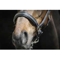 Cabezada de cuero Pénélope Point Sellier Negro Cabezada de cuero Pénélope Point Sellier Negro