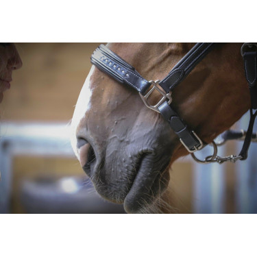 Cabezada de cuero Pénélope Point Sellier Negro Cabezada de cuero Pénélope Point Sellier Negro