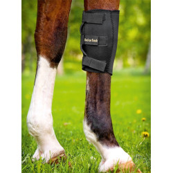 Protector de rodilla Back On Track Protector de rodilla Back On Track