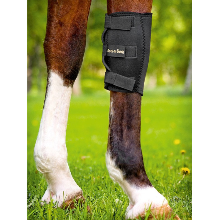Protector de rodilla Back On Track Protector de rodilla Back On Track
