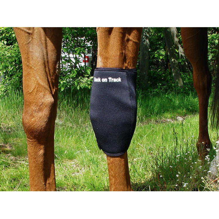 Protector de rodilla Back On Track Protector de rodilla Back On Track