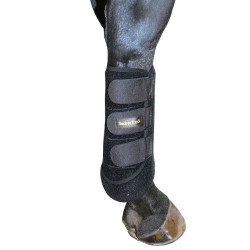Protectores para posteriores Back On Track Protectores para posteriores Back On Track