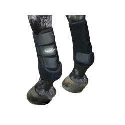 Protectores para los anteriores Back On Track Protectores para los anteriores Back On Track