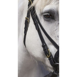 Cabezada Excelsior extra-full Negro