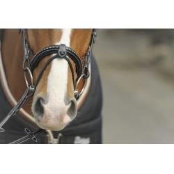 Cabezada Pénélope Point Sellier Negro Cabezada Pénélope Point Sellier Negro