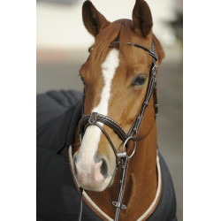 Cabezada Pénélope Point Sellier Havana Marrón Cabezada Pénélope Point Sellier Havana Marrón