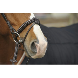 Cabezada Pénélope Point Sellier Havana Marrón Cabezada Pénélope Point Sellier Havana Marrón