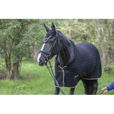 Cabezada Pénélope Point Sellier Negro Cabezada Pénélope Point Sellier Negro