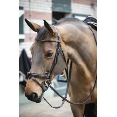 Cabezada Pénélope Point Sellier Havana Marrón Cabezada Pénélope Point Sellier Havana Marrón