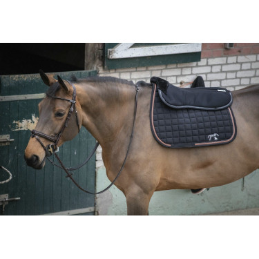 Cabezada Pénélope Point Sellier Havana Marrón Cabezada Pénélope Point Sellier Havana Marrón