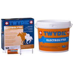 Twydil Electrolitos Twydil Electrolitos