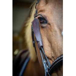 Anteojeras Pénélope Blinkers Anteojeras Pénélope Blinkers