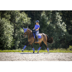 Mantilla LeMieux doma square - luxury Campanilla Azul Mantilla LeMieux doma square - luxury Campanilla Azul