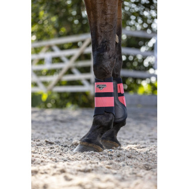 Protectores LeMieux Grafter Protectores LeMieux Grafter