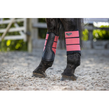 Protectores LeMieux Grafter Protectores LeMieux Grafter