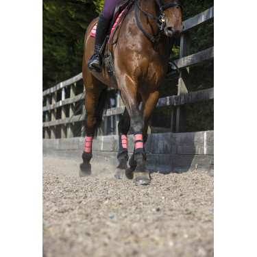 Protectores LeMieux Grafter Protectores LeMieux Grafter