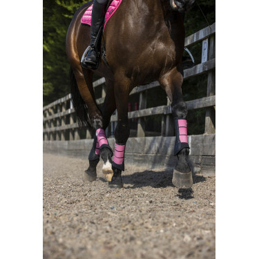 Protectores LeMieux Grafter Protectores LeMieux Grafter