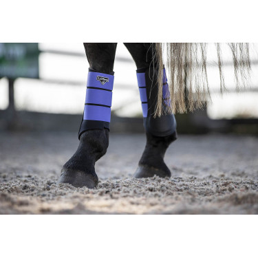 Protectores LeMieux Grafter Protectores LeMieux Grafter