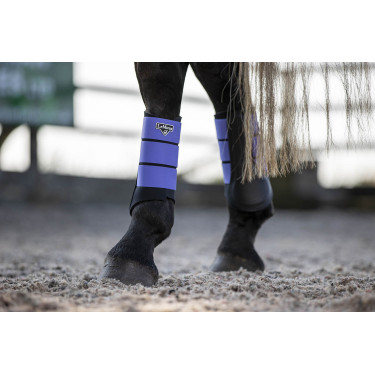 Protectores LeMieux Grafter Protectores LeMieux Grafter
