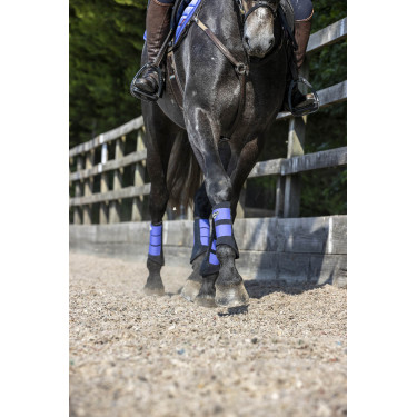 Protectores LeMieux Grafter Protectores LeMieux Grafter