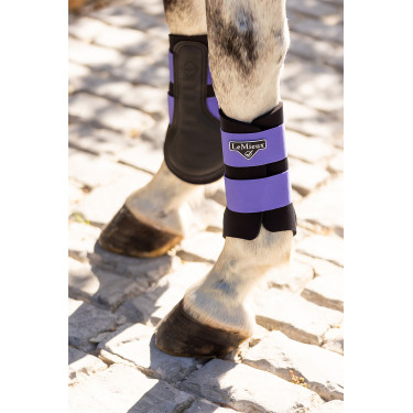 Protectores LeMieux Grafter Protectores LeMieux Grafter