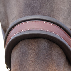 Cabezada de confort Flags & Cup Castaño Marrón