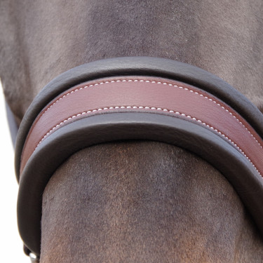 Cabezada de confort Flags & Cup Castaño Marrón